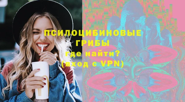 индика Зерноград